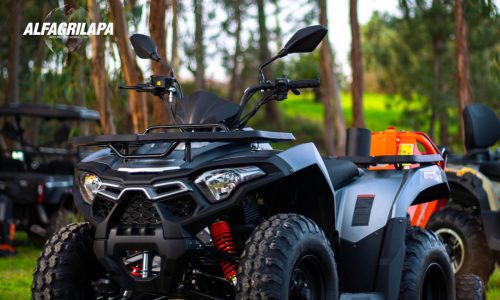 74b5e1f7-cad4-4951-b045-cf8bc37fc202