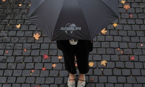 WhatsApp Image 2026-02-19 at 16.54.48