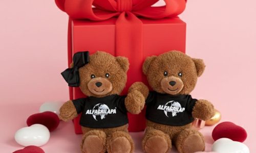 WhatsApp Image 2026-02-20 at 17.30.41